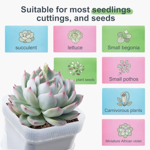 12 Pcs Clear Small Self Watering Pots for Indoor Plants