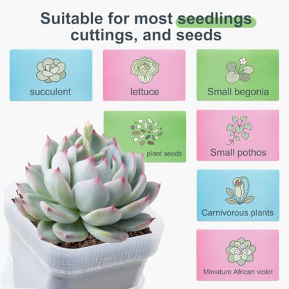 12 Pcs Clear Small Self Watering Pots for Indoor Plants
