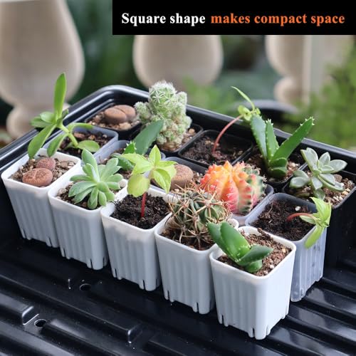 300 Pack 1.55 Inch Tiny White Plastic Square Nursery and Seedling Pot, Mini Transplant Seed Starter Planter with Drain Hole for Germination, Herb, Succulent - color: White