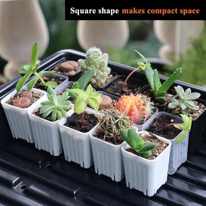 300 Pack 1.55 Inch Tiny White Plastic Square Nursery and Seedling Pot, Mini Transplant Seed Starter Planter with Drain Hole for Germination, Herb, Succulent - color: White