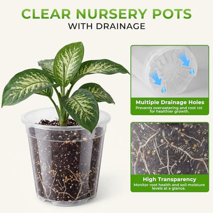 8 Pack Clear Nursery Pots with Drainage Holes, 5/6/6.7/7.5 Inch
