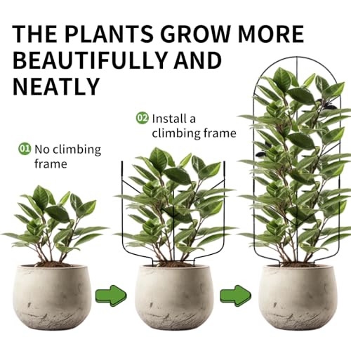 2 Pack 31 Inch Trellis for Climbing Plants Indoor, Rustproof Garden Metal Trellis for Potted Plants Outdoor, Sturdy and Durable Plant Support for Climbing Plants Such as Ivy, Monstera and Pothos - size: 31in