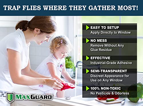 MaxGuard Window Fly Traps (60 XL Traps) Catch & Kill Houseflies, Flying Insects & Bugs. Non-Toxic Sticky Glue Traps Fly Killer Clear Strip Insect Catcher Safe No Zapping with Zapper | - size: 60 XL Traps