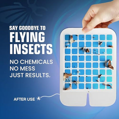 Glevro® 1 Fruit Fly Traps for Indoors & 5 Adhesive Cartridges - Plug in Fly Trap Indoors - Gnat Traps – Bug Light Trap Indoor – Flying Insect Traps Indoor - style: 1 Device & 5 Refill