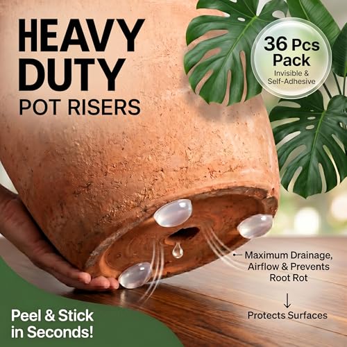 36pcs Pack Clear Self-Adhesive Anti-Slip Plant Risers Suitable for/Outdoor Pots, Invisible Planter Feet Elevators with Optimal Drainage (Clear) - color: Clear