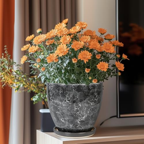 Ceraimc Planter - 8 Inch Plant Pot for Indoor Outdoor Plants, Decorative Round Planters, Flower Pot with Drainage and Saucer, Garden Porch House Room Decor, Plant Lover Gifts, Grey - color: Grey Gemstone, size: 8 Inch