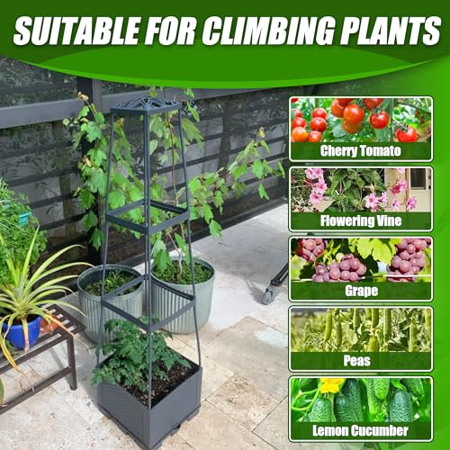 2 Packs Raised Garden Bed Tomato Planter Box with Trellis,44.8" Self-Watering Tomato Cage with Trapezoidal Trellis for Climbing Plants Flowers Vegetables Vine in Patio Garden Indoor Outdoor - size: 3 Tiers-44.8"