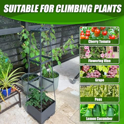 2 Packs Raised Garden Bed Tomato Planter Box with Trellis,44.8" Self-Watering Tomato Cage with Trapezoidal Trellis for Climbing Plants Flowers Vegetables Vine in Patio Garden Indoor Outdoor - size: 3 Tiers-44.8"