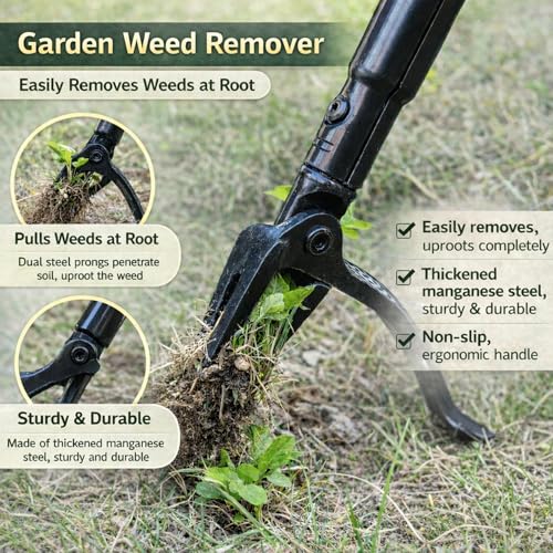 All Black Stand Up Weed Puller 53 Inch Manual Weed Remover Tool Heavy Duty Metal Long Handle Root Removal Weeder with Reinforced Claw and Three Section Steel Shaft for Garden Lawn Yard Use