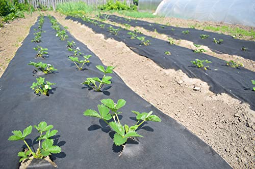 Extreme Weed Block 15 ft. x 20 ft. Planting Fabric, Landscape Barrier & Ground Cover - size: 15 ft. x 20 ft.