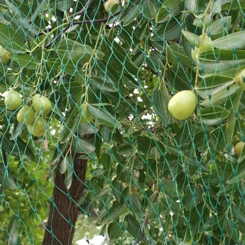 Bird Netting for Garden 6.5X50 FT, 1/4 Inch Mesh, Protect Blueberry, Strawberry, Tomatos, Vegetables. Fruit Tree Netting for Cicadas Against Deers, Squirrels, Bunnies, and Small Critters. - size: 6.5×50FT, 1/4 In Mesh