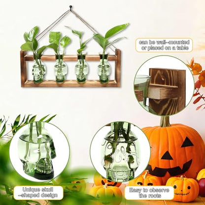 Plant Propagation Stations Halloween Skull Plant Terrarium Kit - color: Green