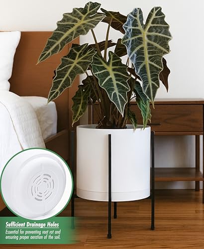 D'vine Dev Plastic Planter Pot with Metal Stand, White, 12 in, 55-D-A-3 - color: White, size: 12 Inch