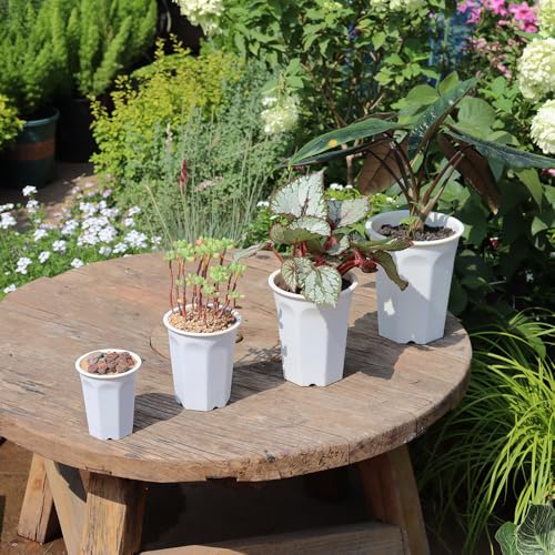 10 Pack 5.30 Inch White Plastic Deep Nursery Pot and Seedling Planter for Succulent, Cutting, Transplanting - color: White, size: 5.30 inch