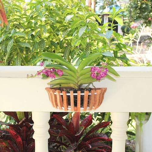3 Wooden Orchid Wall Planters, Plant Baskets for Wall Mounting (Wall Baskets)