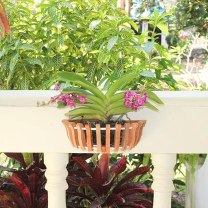 3 Wooden Orchid Wall Planters, Plant Baskets for Wall Mounting (Wall Baskets)