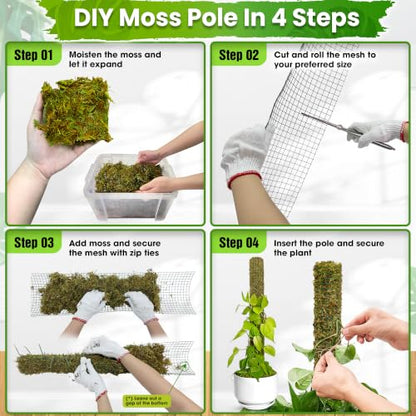 DUSPRO All-in-One DIY Moss Pole Kit for Climbing Plants - size: MOSS POLE DIY KIT
