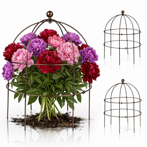 BreezeHug 3 Pack 24 H Peony Cage Climbing Plant Trellis Bird Cage Plant Support Through Flower Support for Perennial Flowers, Vintage Gold