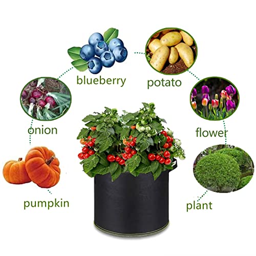 Niurui 5-Pack 30 Gallon Grow Bags Heavy Duty 320G Thickened Nonwoven Fabric Pots Plant Grow Bags with Handles,for Low Stress Plant Training Fruits, Vegetables, and Flowers(Black) - size: 30 Gallon