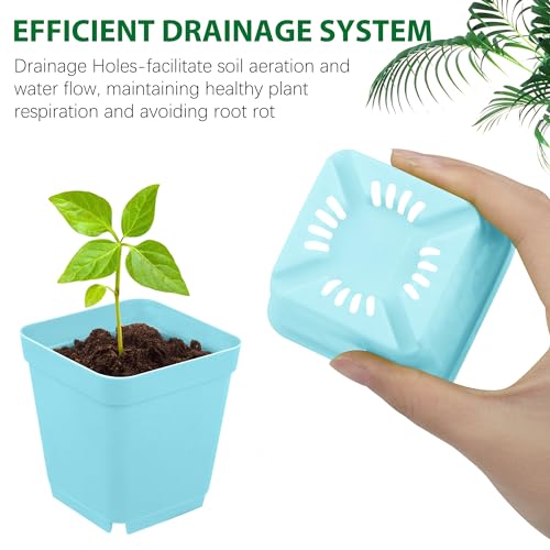 Hahood 160 Pieces Square Flower Plant Pots 3 Inch Flower Seedling Nursery Pots with Pallet Colorful Mini Plastic Planters with Labels and Tools for Room, Garden, Office and Balcony, 8 Colors
