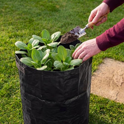 8 Pack 20 Gallon Extra Potato Grow Bags with Flap Window, PE Fabric Pots with Handles for Vegetables Garden Flowers Black Planter, 15.75 x 23.62 Inch - color: Black