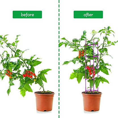 4 Packs Large Tomato Cages for Garden up to 6.5ft Heavy Duty Tomato Plant Trellis with 80 Clips Assembled Plant Support Cages with Adjustable Stake Arms for Vegetables, Climbing Plants (Purple) - color: Purple