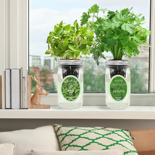 2-Pack Hydroponic Mason Jar Herb Garden Kit, Indoor Herb Garden Self-Watering Starter Kit (Thai Basil,Parsley)