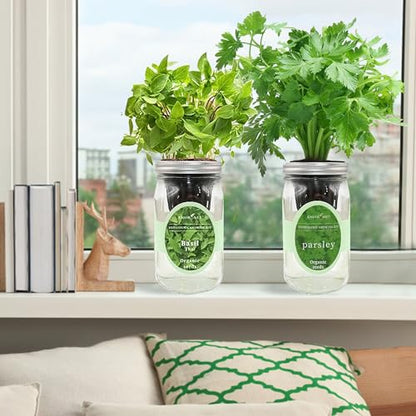 2-Pack Hydroponic Mason Jar Herb Garden Kit, Indoor Herb Garden Self-Watering Starter Kit (Thai Basil,Parsley)