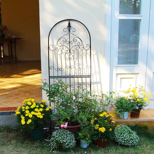 Garden Trellis for Climbing Plants 59" H x 21.6" W Metal Unique Design Decorative Garden Structure Weather-Resistant Trellises Outdoor Decor Flowers Roses Vine Ivy Clematis - color: 59 inch-1 pack