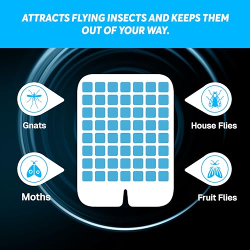 Glevro® 5 Adhesive Cartridges Fruit Fly Traps for Indoors - Plug in Fly Trap Indoor - Gnat Traps – Bug Light Trap Indoor – Flying Insect Traps Indoors - style: 5 Refill