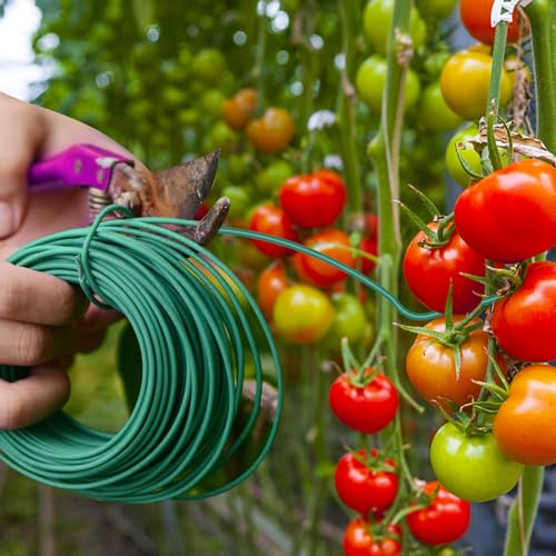 YDSL 100 Feet Soft Tie for Plants, 3 Pack Green Twist Garden Ties Gardening Supplies for Supporting Climbing Plants, Tomatoes, Vegetables, (Diameter - 2.5MM) - size: 300feet
