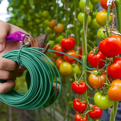 YDSL 100 Feet Soft Tie for Plants, 3 Pack Green Twist Garden Ties Gardening Supplies for Supporting Climbing Plants, Tomatoes, Vegetables, (Diameter - 2.5MM) - size: 300feet