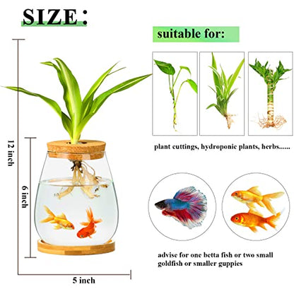 Desktop Plants Terrarium Propagation Station Hydroponic Planters Retro Oval Glass Vase with Lid and Stand Home Office Decoration Gifts 2 Pack