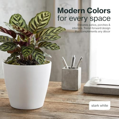 8" Vogue Planter in Stark White - color: Stark White