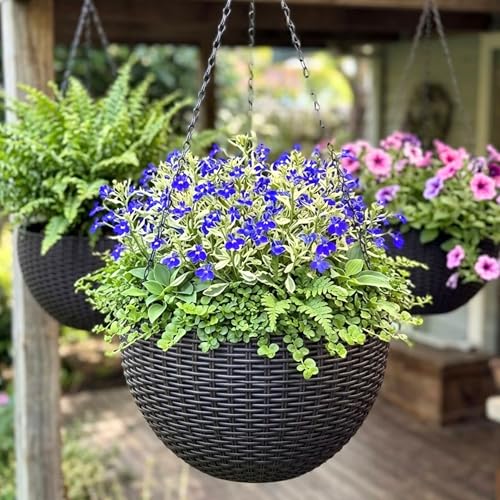 LaLaGreen Indoor Hanging Planters (11in, 3 Pack) Self-Watering Flower Pots - color: Black X 3
