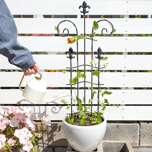 31" Pot Trellis for Climbing Plants - Support for Vining Plants - size: 31"H
