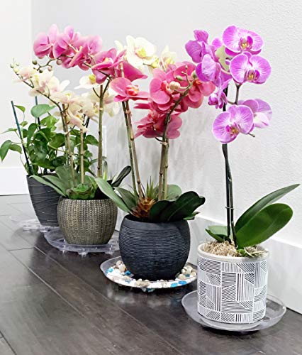 2 Pack of 8 inch Clear Round Plant Saucer, Thicker Plastic Tray for Indoor, Durable Flower Pot Planter Saucers with Multiple Support Footing Designed for Improved Airflow. - size: 8" - 2 Pack