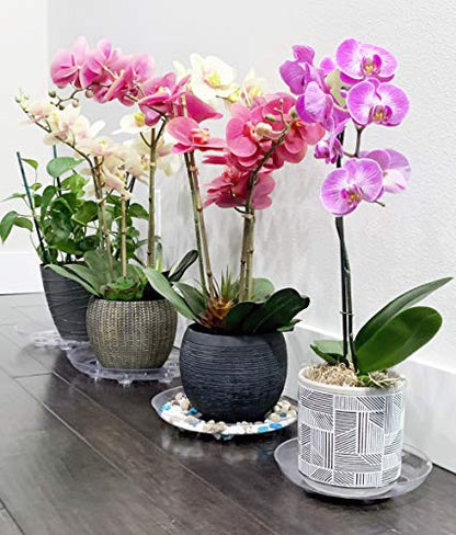 2 Pack of 10 inch Clear Round Plant Saucer, Thicker Plastic Tray for Indoor, Durable Flower Pot Planter Saucers with Multiple Support Footing Designed for Improved Airflow. - size: 10" - 2 Pack