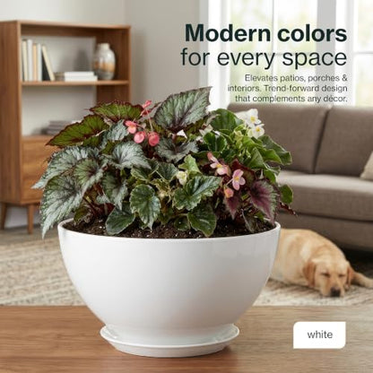 Rosie Planter Bowl, with Drainage and Saucer, 10” Stark White - color: Stark White