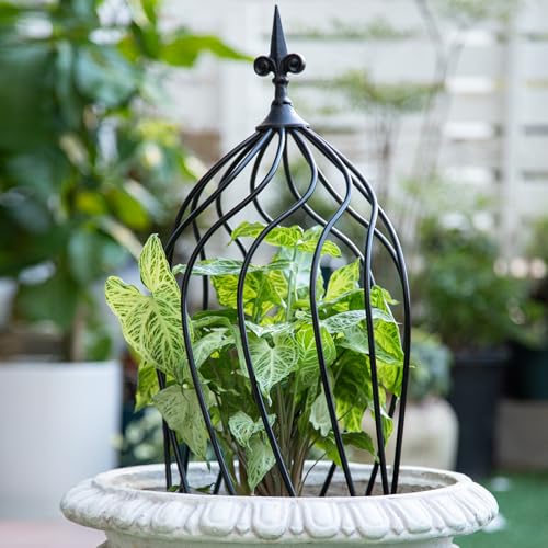 23" Obelisk Trellis for Climbing Plants & Vines Outdoor Decor - size: 23" x 9"