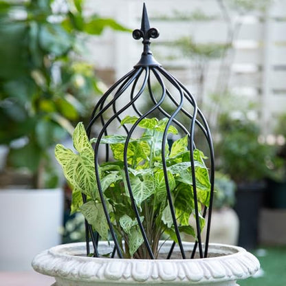 23" Obelisk Trellis for Climbing Plants & Vines Outdoor Decor - size: 23" x 9"