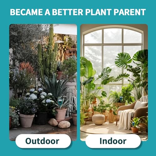 2 Pcs Green Soil Moisture Meter, Plant Water Meter, Moisture Meter for Plants, Soil MoistureTester, Soil Water Gauge for Plants, Plant Moisture Monitor No Battery Needed (Green+Green) - color: GREEN+GREEN