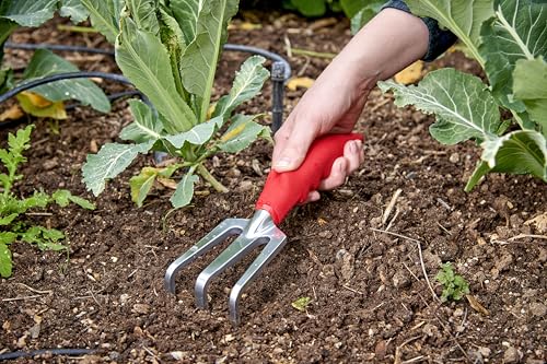 Corona CT 3030I Comfort Cultivator