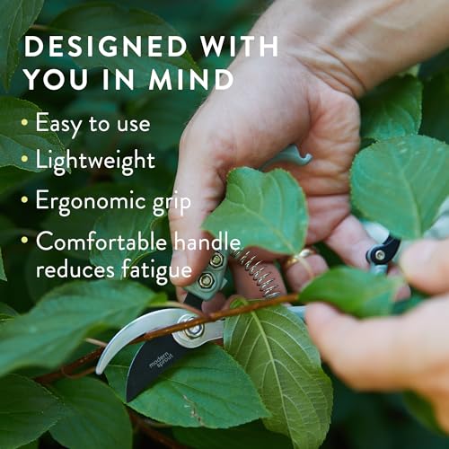Modern Sprout Bypass Hand Pruners - Scissors - Gardening Tools - Sage - color: Sage