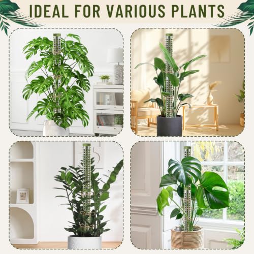 Moss Pole Monstera Plant Support 55 Inch, Stackable Sphagnum Moss Poles Sticks for Climbing Plants Indoor 4 Packs 17 Inch Plant Stakes for Garden Potted Plants, Pothos, Philodendron, Green