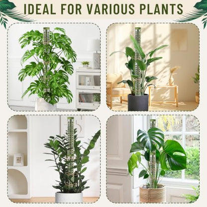 Moss Pole Monstera Plant Support 55 Inch, Stackable Sphagnum Moss Poles Sticks for Climbing Plants Indoor 4 Packs 17 Inch Plant Stakes for Garden Potted Plants, Pothos, Philodendron, Green