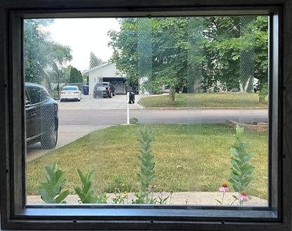 COLLIDESCAPE Spiderweb Clear BirdTape for Windows (3/4" x 40' - Covers 2 to 3 panes) | Window Bird Tape Decals to Prevent Bird Strike Prevention for Glass | Clear - size: 3/4 x 40'