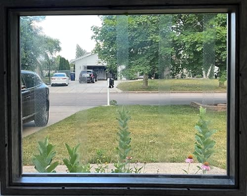 COLLIDESCAPE Spiderweb Clear BirdTape for Windows (3/4" x 20' - Covers 1 to 2 panes) | Bird Tape Decals to Prevent Bird Strike Prevention for Glass | Clear - size: 3/4 x 20'