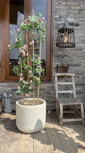 Bamboo Trellis,U-Shape Bamboo Trellis,4Feet,3pack,for Climbing Plants Outdoor Bamboo,for,Climbing Plants,Tomato, Vegetables,Flowers, Beans, Cucumber,Indoor Potted Climb Plants - style: U-Shape,4Ft,3Pack