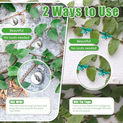 WILLBOND 80 Pcs Plant Anchors Kit for Vine Wall Stucco Trellis, Silver - color: Silver